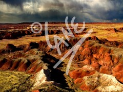 ARIZONA The Painted Desert